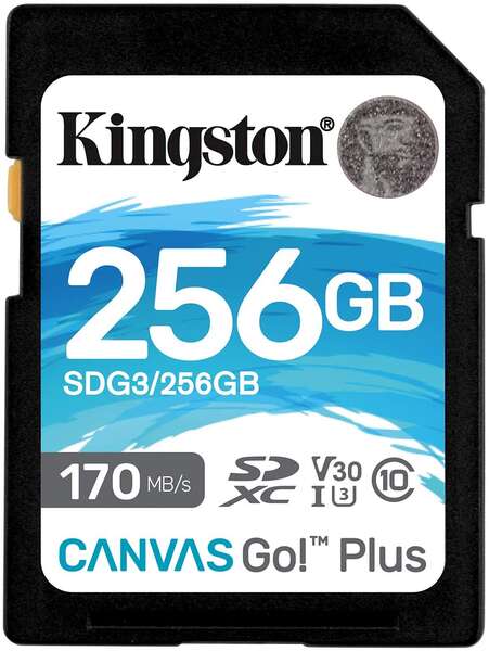 SDXC CARD 256GB CANVAS GO PLUS 170R C10 UHS-I U3 V30