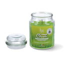 VELA CITRONELA EM FRASCO 510ML MAGIC LIGHTS
