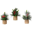 PEQUENAS PLANTAS DE DECORAÇÃO DE NATAL PARA USO INTERNO 20 X 15 C