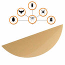 SOBRESSELENTE PLACA ADESIVA PARA 06526 EDM