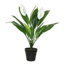 PLANTA ARTIFICIAL LÍRIO DA PAZ