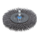 ESCOVA DE DISCO DE ARAME DE AÇO Ø100 X 16 MM