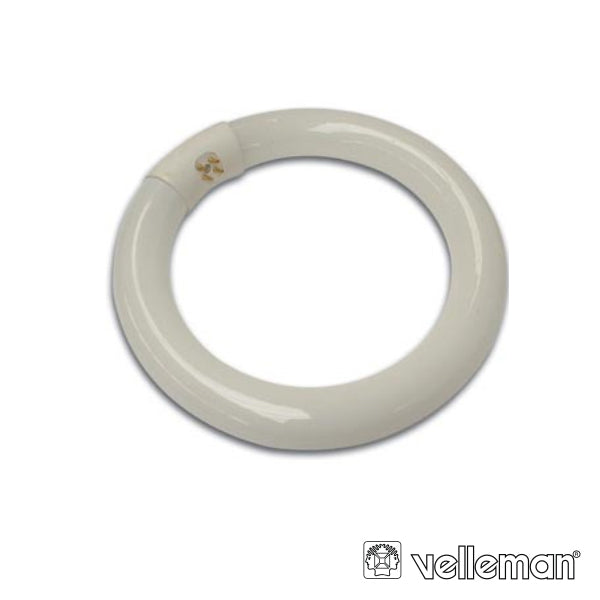 LMPADA CIRCULAR 22W 230V P VTLAMP2 VELLEMAN