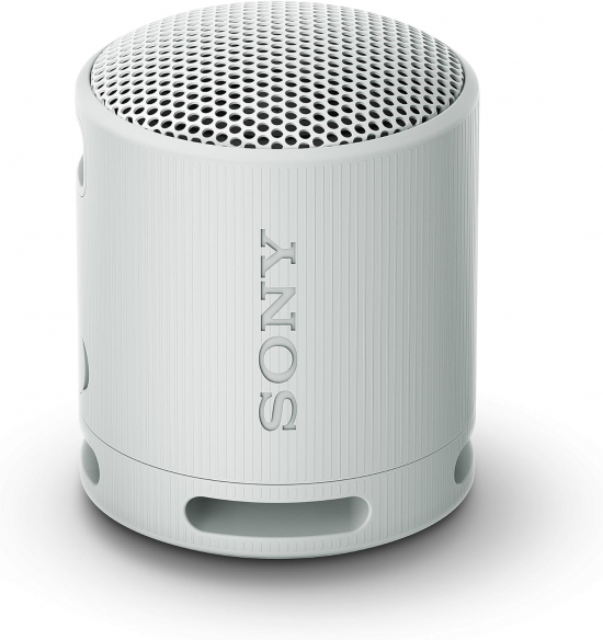 Sony SRS-XB100 Coluna portátil mono Cinzento