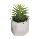PLANTA DECORATIVA COM VASO 7X14CM MODELOS SORTIDOS