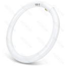 T9 TUBO CIRCULAR FLUORESCENTE 32W