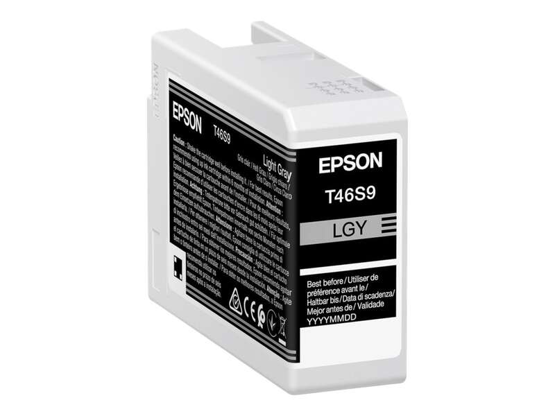 Epson UltraChrome Pro tinteiro 1 unidade(s) Original Cinzento cla