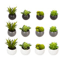 MINI PLANTAS DECORATIVAS COM ÍMAN VÁRIOS MODELOS 6CM