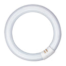 TUBO FLUORESCENTE CIRCULAR 20W, G10Q, LUZ FRIA Ø210 MM