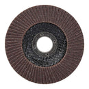 DISCO LÂMINAS CONVEXO ÓXIDO DE ALUMÍNIO T29, Ø125 X 22,2 MM, GRIT