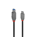 Lindy 36666 cabo USB 1 m USB 3.2 Gen 1 (3.1 Gen 1) USB C USB B Pr
