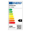 DOB LUZ DE RUA LED LEVE 100W