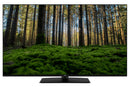 TV 50 QLED JVC LT-50VDQ340S SMART TV