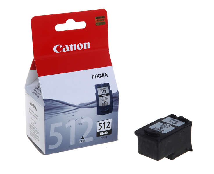 Canon 2969B001 tinteiro 1 unidade(s) Original Preto