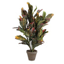 CROTON VERDE PVC EM VASO CINZENTO