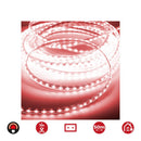 TIRA LED 50M. 60 LEDS/M 4,2W/M VERMELHO IP44 380 EDM 220-240V