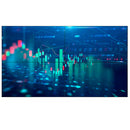 Philips Signage Solutions X-Line Videowall Plasma digital 165,1 c