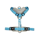 ARNÊS X-TRM CRONOS NEON FLASH 35-60X1.5CM AZUL NAYECO