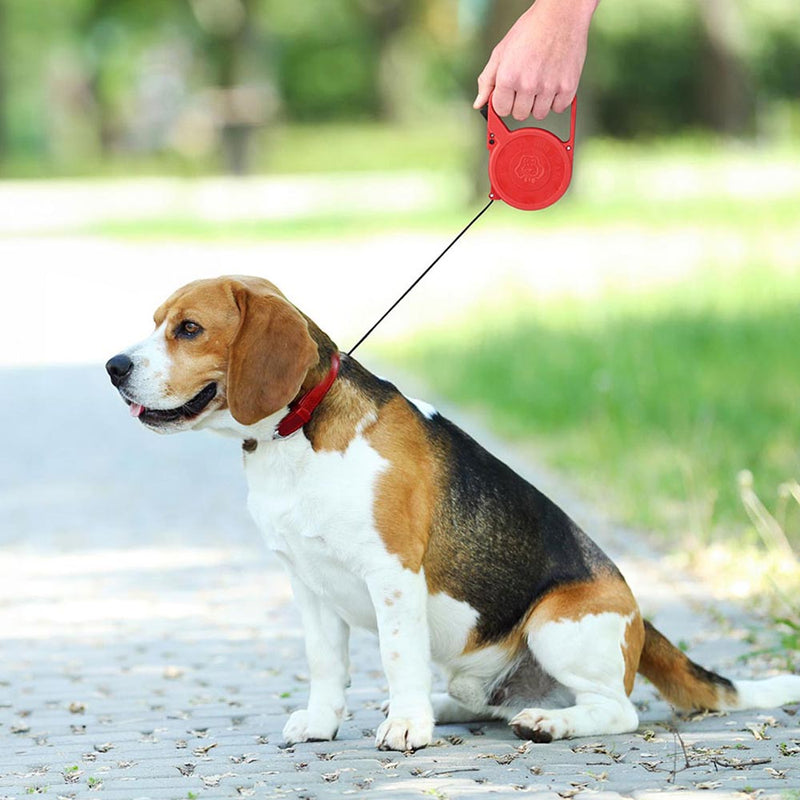 TRELA RETRÁTIL PARA CÃES 3M CORES SORTIDAS LIFETIME