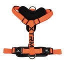 ARNÊS X-TRM CRONOS NEON FLASH 60-100 X 2,5 CM LARANJA