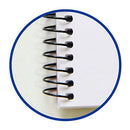 CADERNO QUADRICULADO CAPA NORMAL ENRI ESPIRAL DIN A5 CORES SORTID