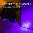 TORCHY UV - LANTERNA DE LUZ ULTRAVIOLETA. NEBO