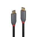 Lindy 36901 cabo USB 1 m USB C Preto, Cinzento