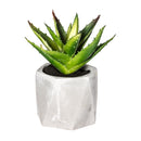 PLANTA DECORATIVA COM VASO 7X14CM MODELOS SORTIDOS